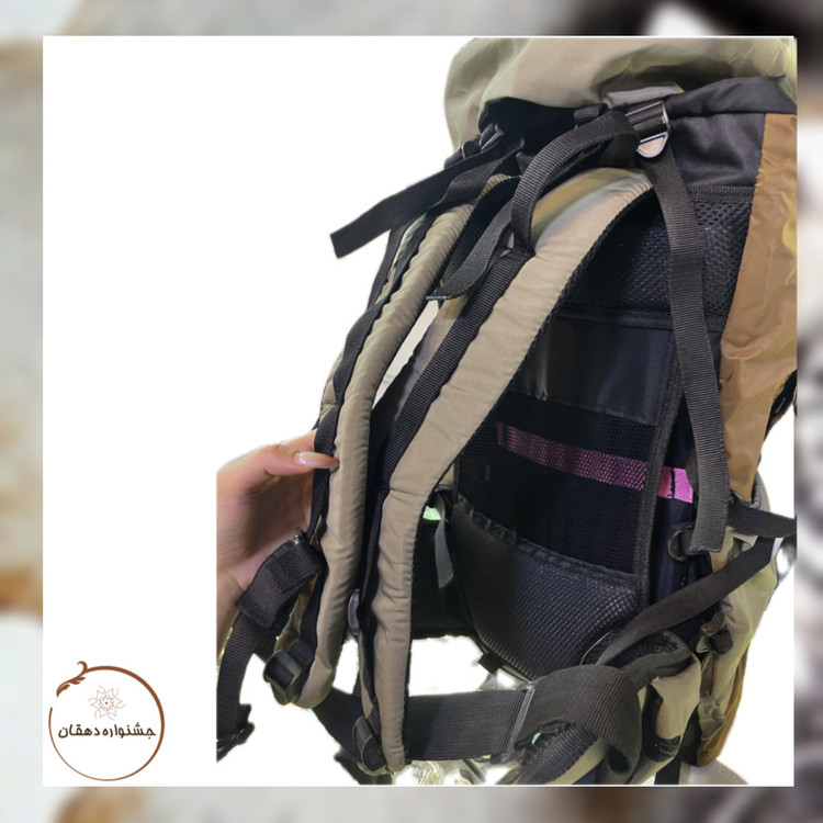 کوله پشتی دیوتر Futura Pro 38L با ترکیب رنگ قهوه و خاکی با ظرفیت ۳۸ لیتر